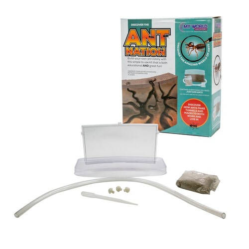 Ant nation build your - build,