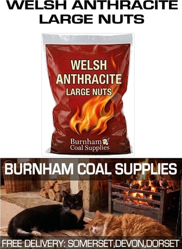 Premium welsh anthracite free - welsh,