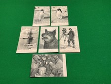 6 Polar exploration, Captain