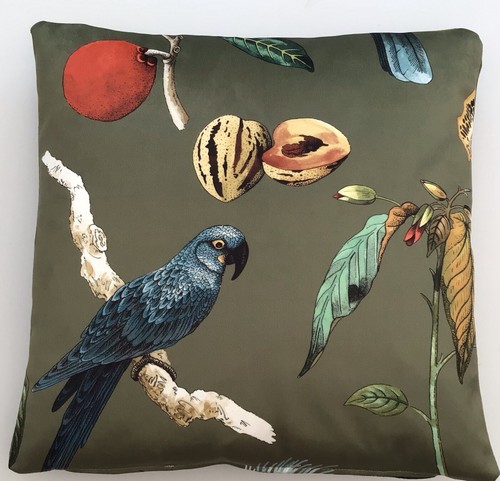 Botanical fruit bird - botanical,