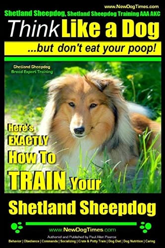 Shetland sheepdog - shetland, sheepdog,