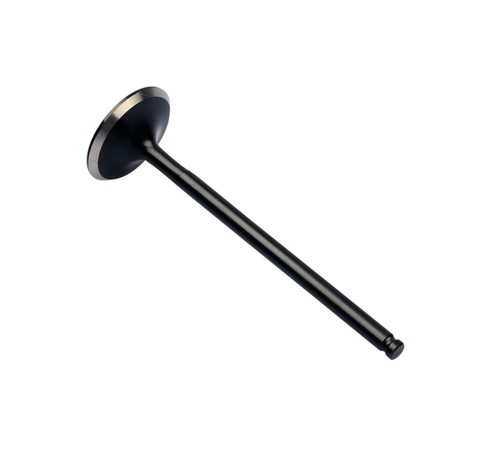Exhaust valve for - exhaust,