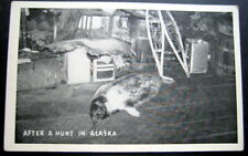 Mid 1900s Seal Hunt AFTER A