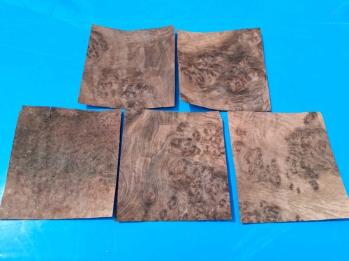 Burr walnut wood - walnut, veneers