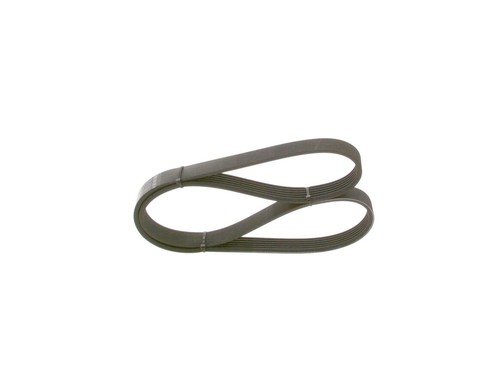 Bosch ribbed belt for - bosch,