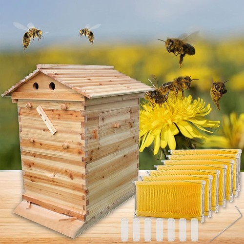Wooden beekeeping beehive - wooden,