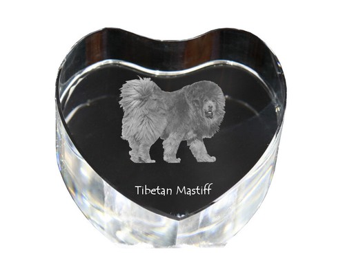 Khyi tibetan mastiff dog - do, khyi,