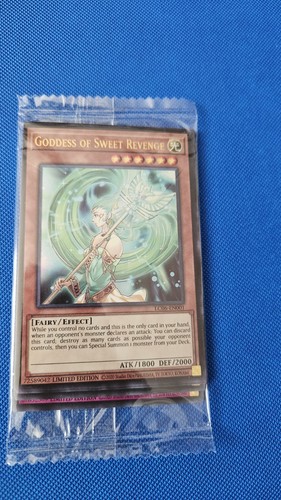 Legendary kaiba - legendary,