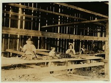 Tobacco Industry,Hawthorn