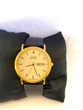 Citizen Mens  Eco Drive Day&