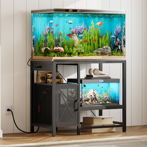 Mahancris gallon fish - mahancris, 40-50