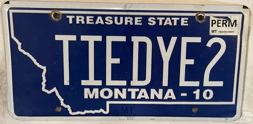 Vanity tie dye license plate - 2,