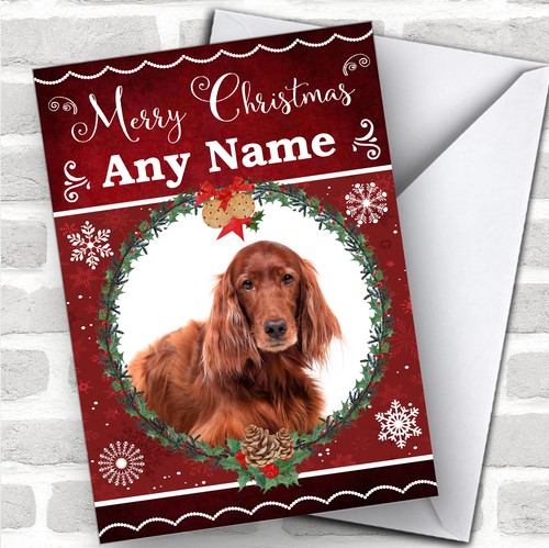 Irish red setter dog - irish,