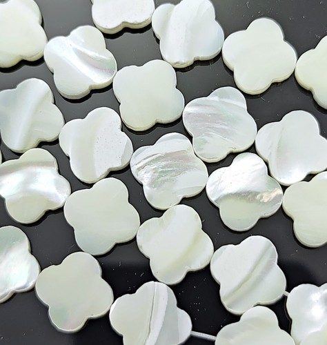 Cream ivory white - ivory, sea