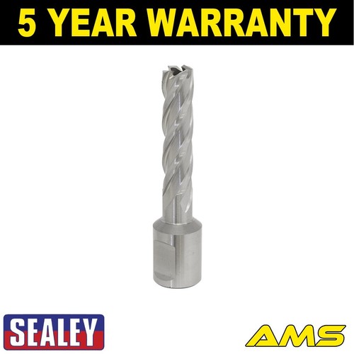 Sealey worksafe 12mm hss - worksafe�,