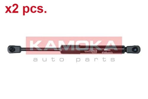 Pcs taile gate gas springs - taile,