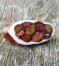 Heather Gems Scottish Horn Deer Antler Brooch Vintage 1970's