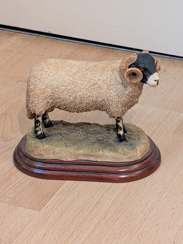 Boarder fine arts swaledale - boarder,