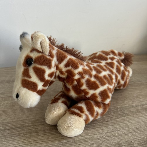 Chester zoo ginger - 12",