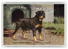 ROTTWEILER DOG FRIDGE MAGNET