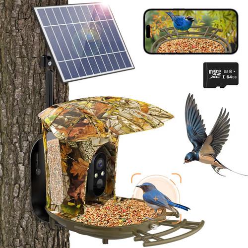 Solar smart bird feeder camera - bird,