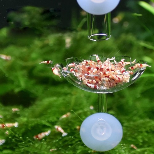 Pack aquarium crystal - pack,