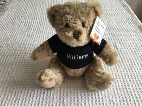 Official williams bmw - official,