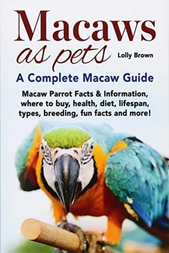 Macaws pets macaw parrot - as, pets: