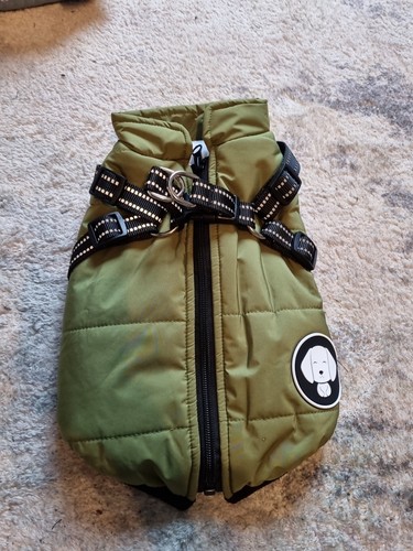 Pet vest puppy - vest, cat