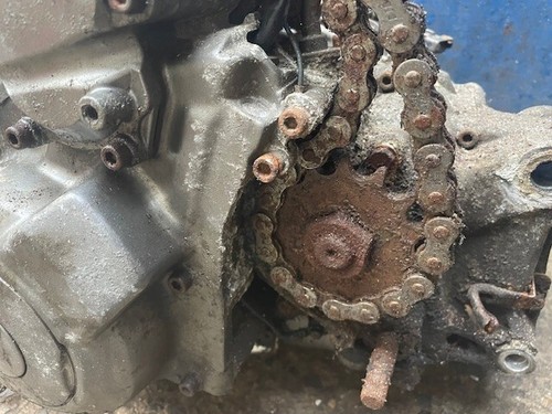 Baghira 660 complete - mz,