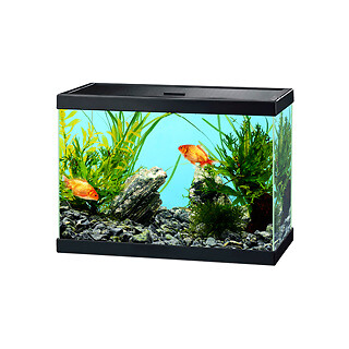 Ciano aqua aquarium black - aqua, 15