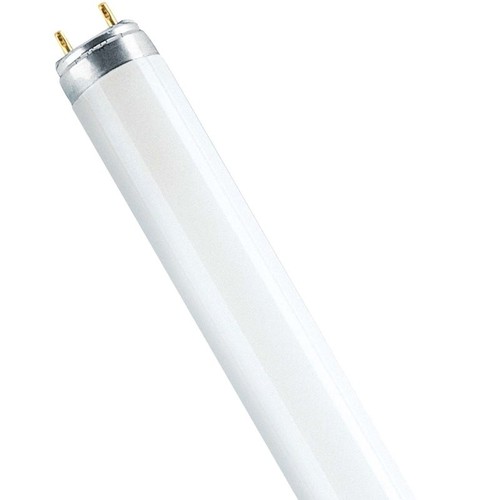 Osram 30w blue fluorescent - 30w, t8