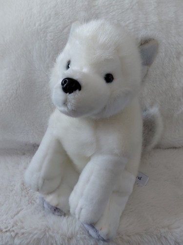 Lapland lumi husky - lapland,