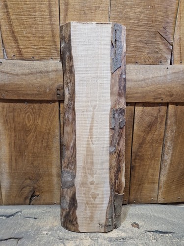 Live edge beech - live,