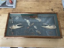 taxidermy pike in case fishing scene antique taxidermy vintage 