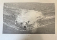 Gary Hodges Swimming Polar Bear Limited Edition print