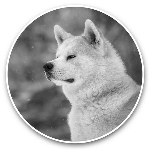 Vinyl stickers 5cm - vinyl, (bw)