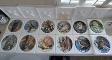 12 Wedgewood Majesty Of Owls