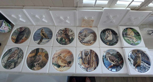 Wedgewood majesty owls - 12,