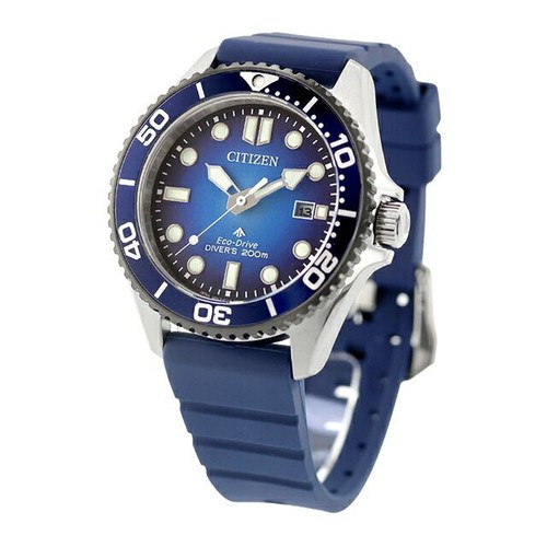 New citizen promaster - new,