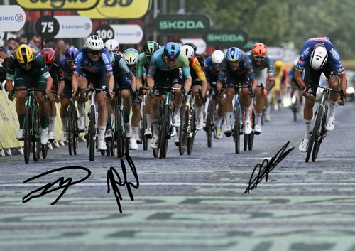 Photo signed mathieu van - a4,