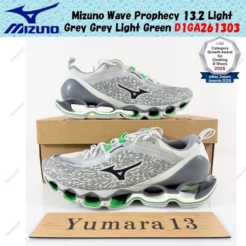 Mizuno wave prophecy 2 - mizuno,
