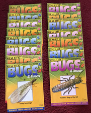 Real Life Bugs & Insects