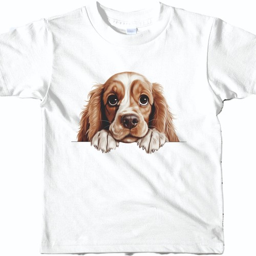 American cocker spaniel dog - cocker,