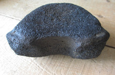 Fossil Whale Vertebra Amelia