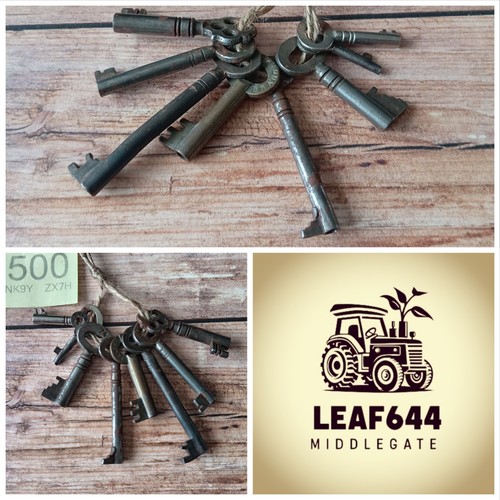 Bunch keys old - keys,