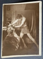 Joke Trick Cat Tiger Taxidermy