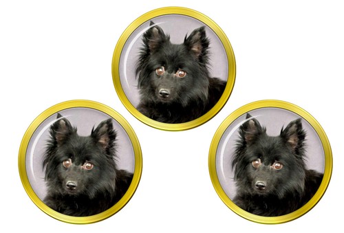 Schipperke dog golf ball - schipperke,