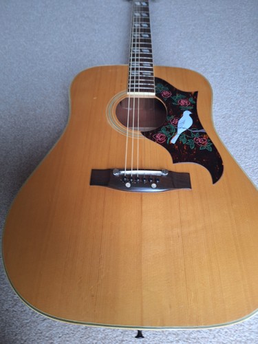 Cimar 371 acoustic guitar - acoustic, 6