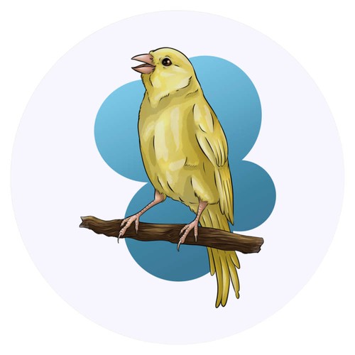 Perched yellow canary - yellow, canary'